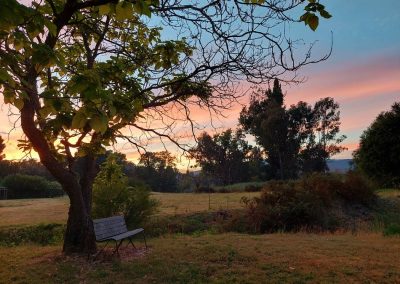 Backyard Sunrise