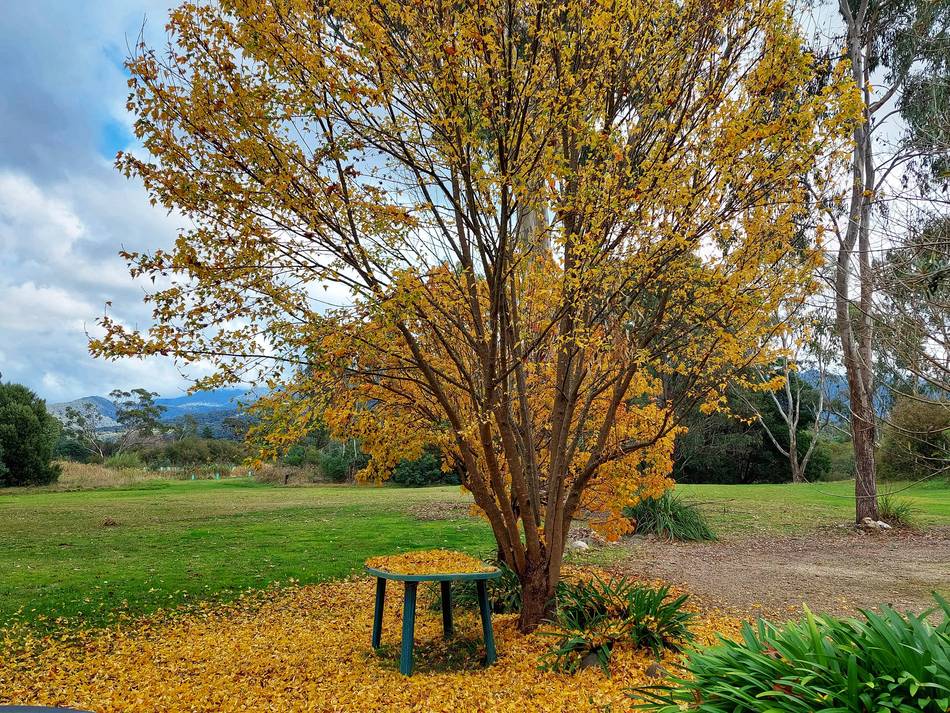 Restaway Holiday Units in Autumn